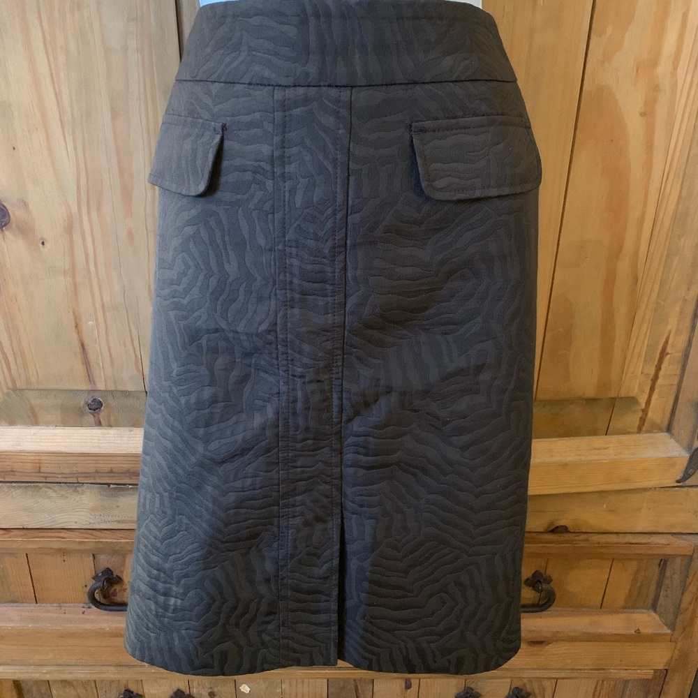 Ann Taylor skirt